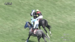「めっちゃかっこいい勝ち方」実力派ホースが障害重賞初挑戦でVの快挙！ 鮮やか跳躍にファン感慨「ここまで本当に長かった」