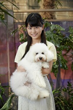 喜多乃愛、『僕とシッポと神楽坂』でテレ朝連続ドラマ初出演