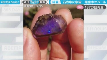 石の中の小さな宇宙」美しすぎるオパールの動画に反響「世の中にはこんなに素敵な宝石があるんですね」 | 話題 | ABEMA TIMES |  アベマタイムズ