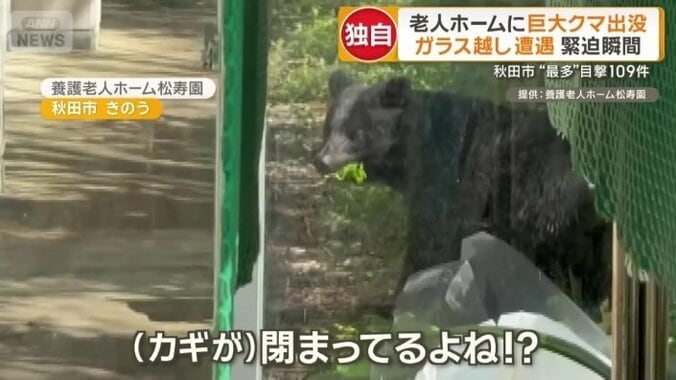 老人ホームにクマ