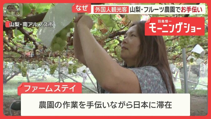 農園で手伝いながら日本に滞在する「ファームステイ」　海外から応募殺到 1枚目