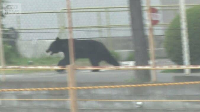 4人襲ったクマは高い知能？　蛇口ひねり水飲む姿　カギ開け、窓もスライド　福島市 1枚目
