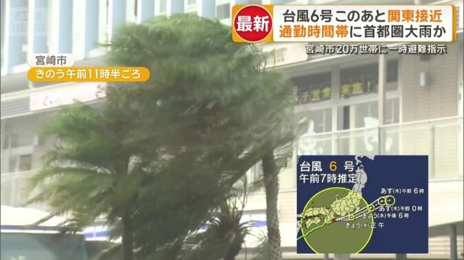 木々も大きくしなるほどの風