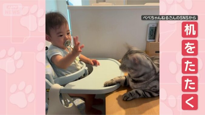 机バンバン
