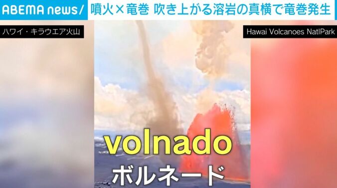 ボルネード