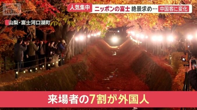 来場者の7割が外国人