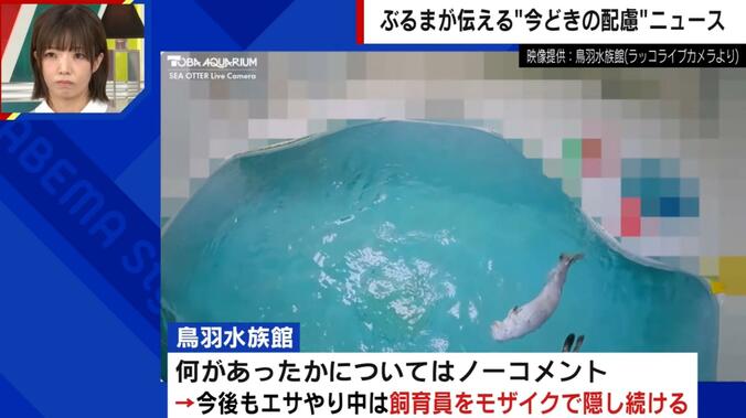 ラッコのライブ配信に突如モザイクが出現