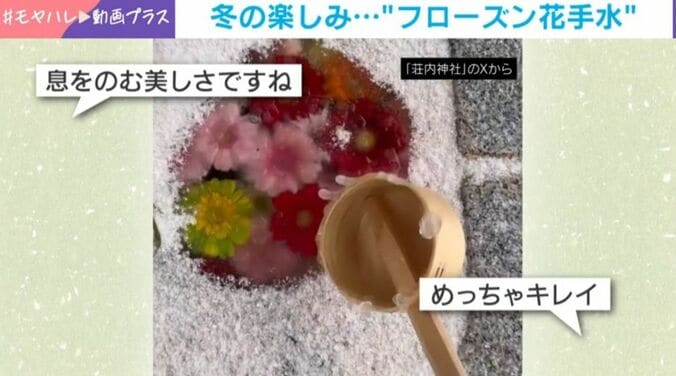 フローズン花手水