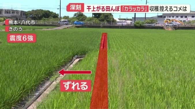 一直線のコンクリートの畦が…
