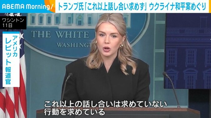 レビット報道官