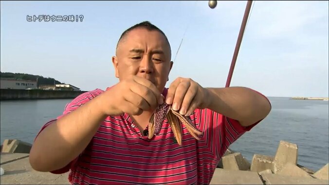 「ヒトデはウニの味がするのか？」実食して調査してみた 1枚目