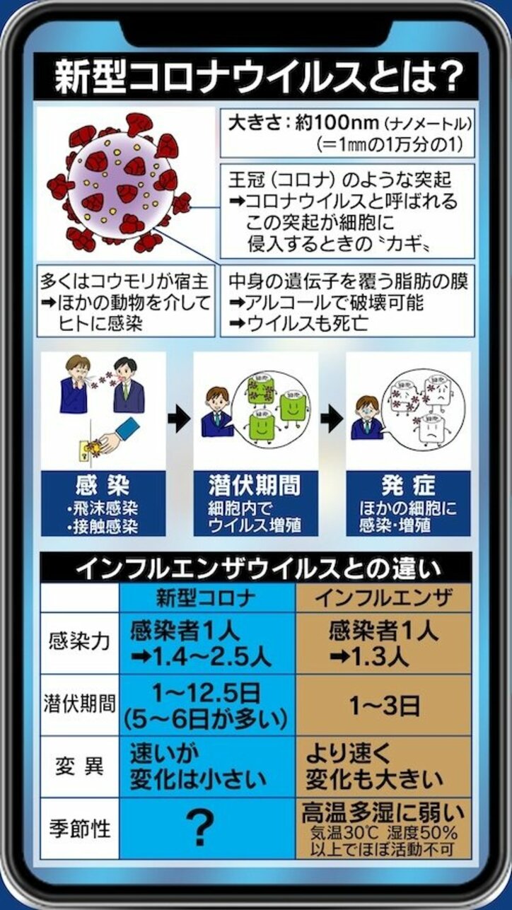 飼い猫とのスキンシップ、恋人とのデートでの感染リスクは…京大・宮沢准教授に聞く新型コロナウイルス