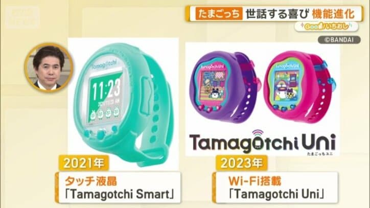 進化を続けてきた