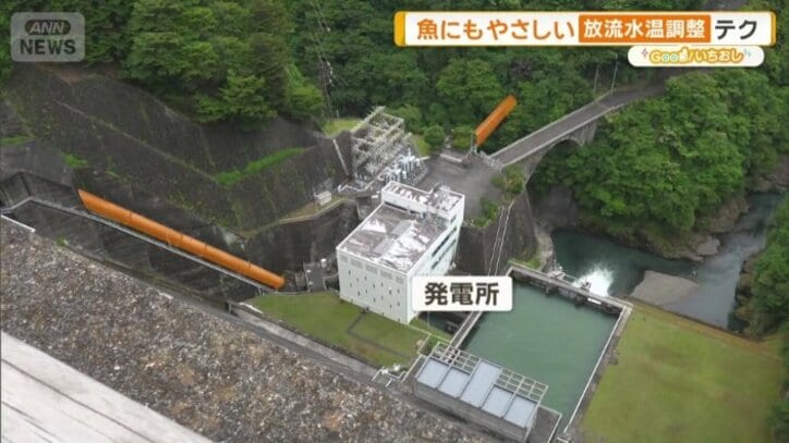 配管はダム側だけでなく山側からも