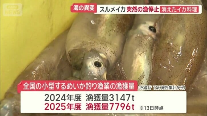 全国の小型するめいか釣り漁業の漁獲量