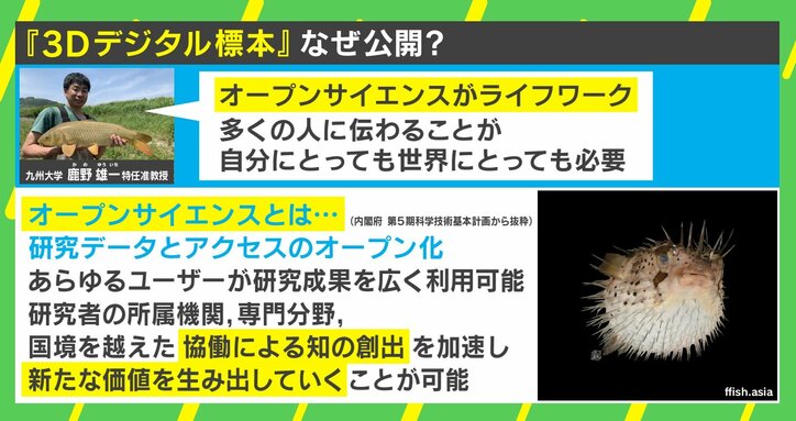 3Dの“デジタル生物標本”を無償で公開 生粋の現場主義者が「オープンサイエンス」を推進する目的