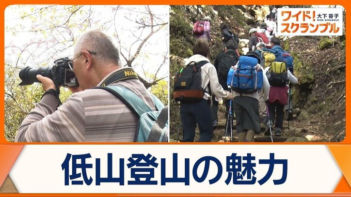 「低山」登山ブーム到来　中高年層中心に大人気　山頂から思わぬ眺望の穴場発見