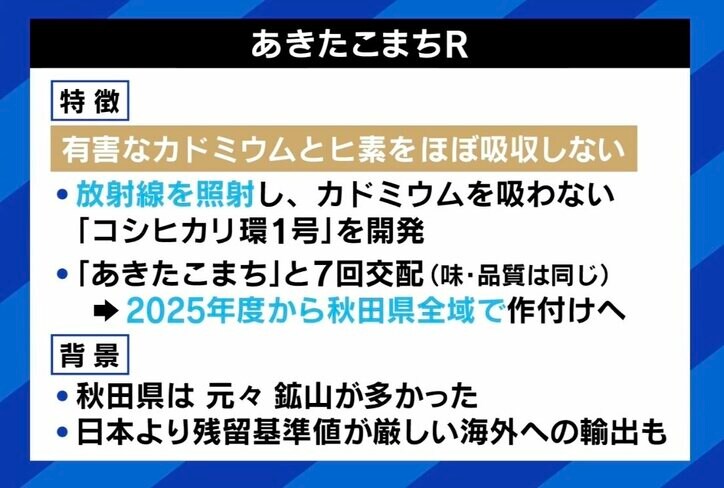 風評加害なぜ再び?科学的な情報どう伝える? 品種改良された「あきたこまちR」を考える 専門家「放射線育種の仕組みが勘違いされている」 ひろゆき氏「恐怖をばら撒き支持者を増やすインフルエンサーが悪い」