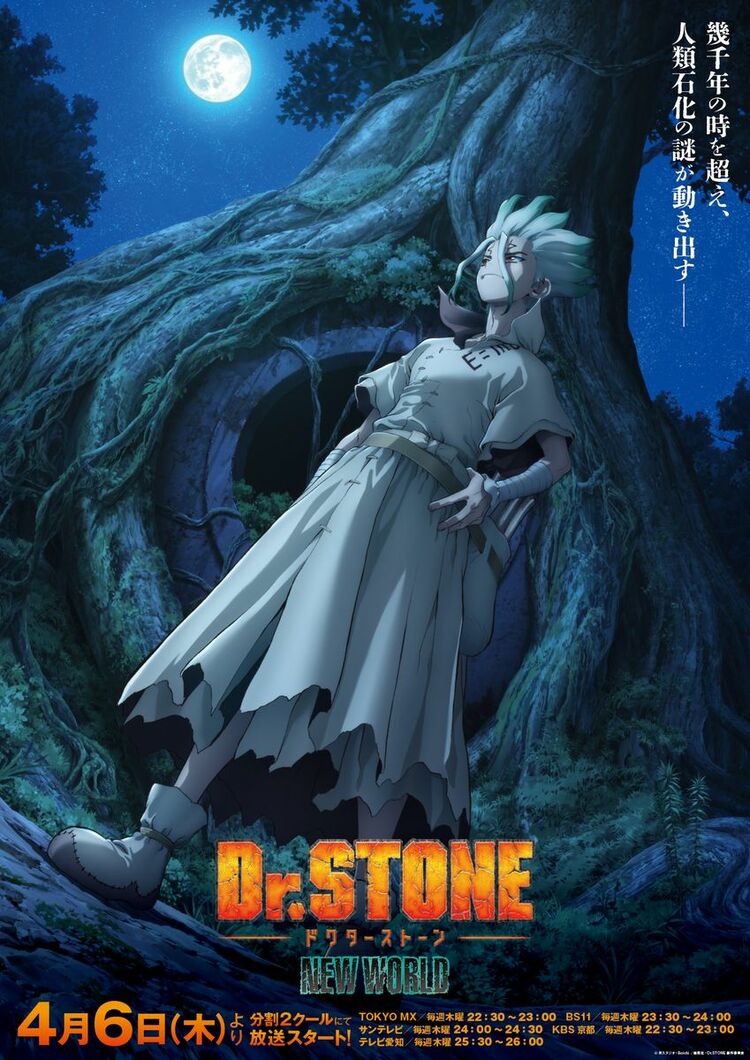 【写真・画像】アニメ「ドクターストーン」4期はいつから放送？ファイナルシーズンの配信はある？【Dr.STONE】 1枚目 | アニメニュース |  ABEMA TIMES | アベマタイムズ