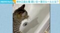 排水溝の水切りを盗んでいく“小さな泥棒” 飼い主一家に独自ルールが誕生