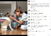 peco、温度差のある愛犬との2ショット披露  「人間に見える…」「表情のギャップが楽しい」とファン絶賛