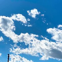 堀ちえみ『パパの作ったお弁当持参で』