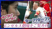 【映像】野球少年のようなトラウトのリアクション