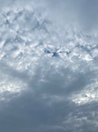 市川海老蔵『今日は曇』