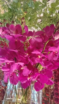 細川直美『結婚記念日』