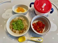 八田亜矢子『離乳食のあれこれ』