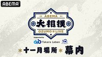 大相撲LIVE 十一月場所(幕内)2日目