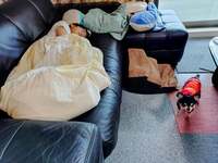 山田花子『健康診断したら』