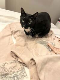 藤あや子『嬉しい差し入れ』