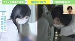 億単位の賠償請求も…「ファスト映画」全国初の逮捕者 捜査協力した弁護士が語る法的問題点
