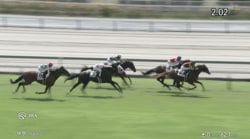 「本当にそっくり」“怪物似”連日の新馬Vにファン歓喜「嬉しすぎ」「今日もオルフェっ子！」