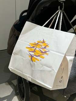  だいたひかる、デパートに買い物に行くも慌てたこと「持ってくるのを忘れてしまい」 