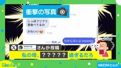 『ウォーリーを探せ！』より難しい!? 母親から送られてきた“衝撃の写真”が「どこに何がいるって!?」「心が汚れているから見えないのかな…」と話題に