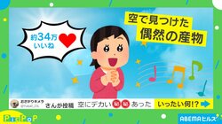 空にデカイ音符!? “奇跡的”な風景写真がSNSで話題沸騰 「素敵な感性ですね」「ファがソラの下にあるんだぜ」