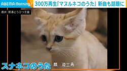 スナネコの魅力を歌に乗せて伝える「スナネコのうた」 独特なリズムが癖になる