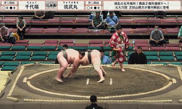 どうしてそうなった？ “あんこ型”力士が偶然同じポーズ どこか不思議な