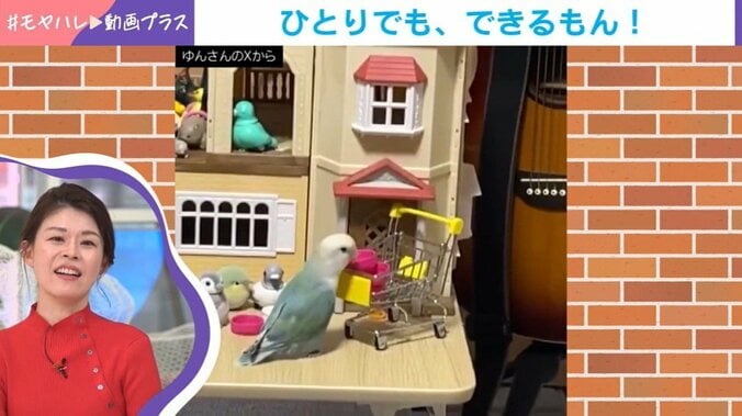 パルくんの“コソ練”姿