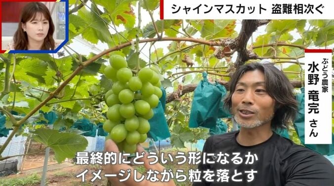 ぶどう農家の水野竜完さん