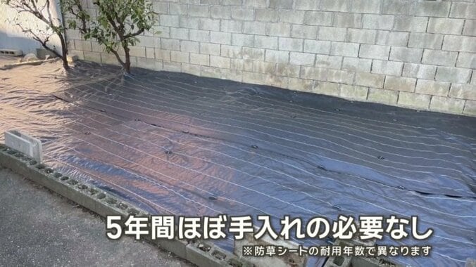 5年間は、ほとんど手入れが必要ないという