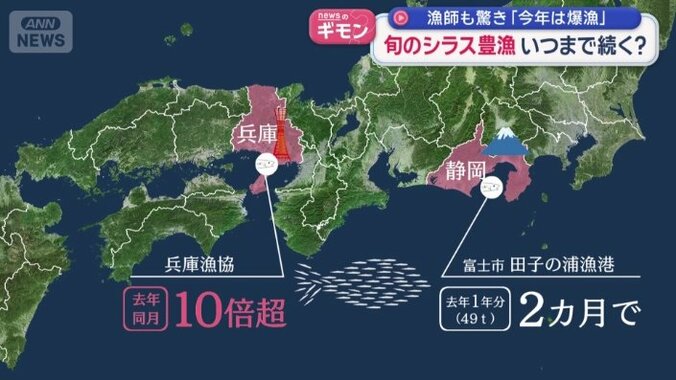 豊漁でにぎわっているのは静岡だけではない