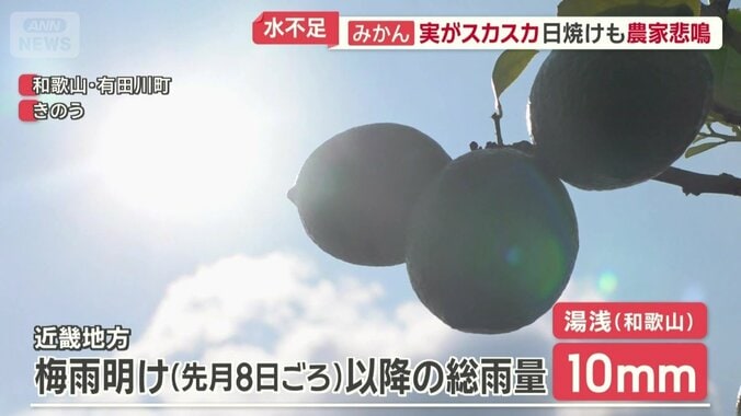まとまった雨はほぼなし