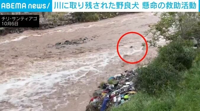 モロチョ