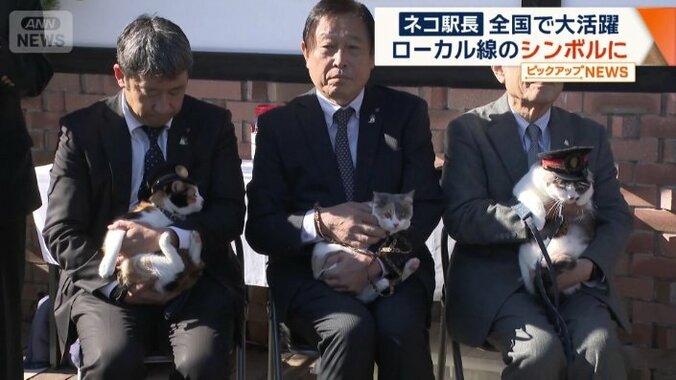「ごたま」と「ろくたま」も仲間入り