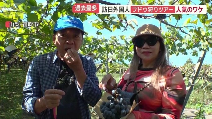 満喫している様子