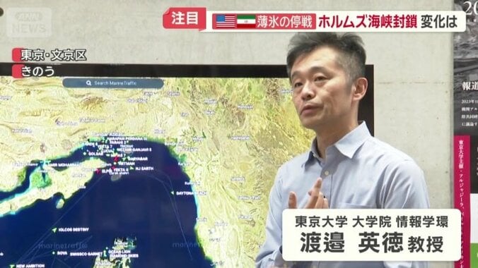 東京大学大学院情報学環・渡邉英徳教授