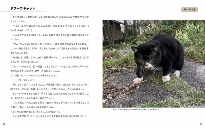 SNSの反響やファンへの感謝なども率直に綴っている／『もんたのいた日常』もんたの飼い主・著